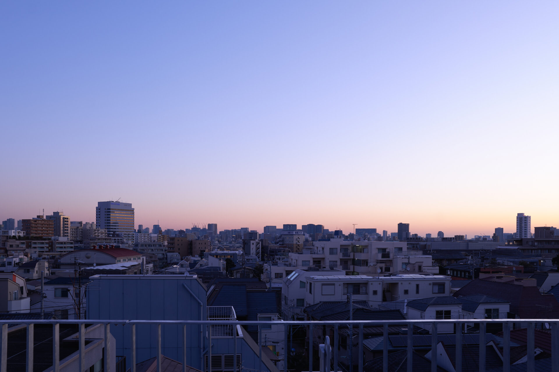 THE CONTOUR ザ・コンター