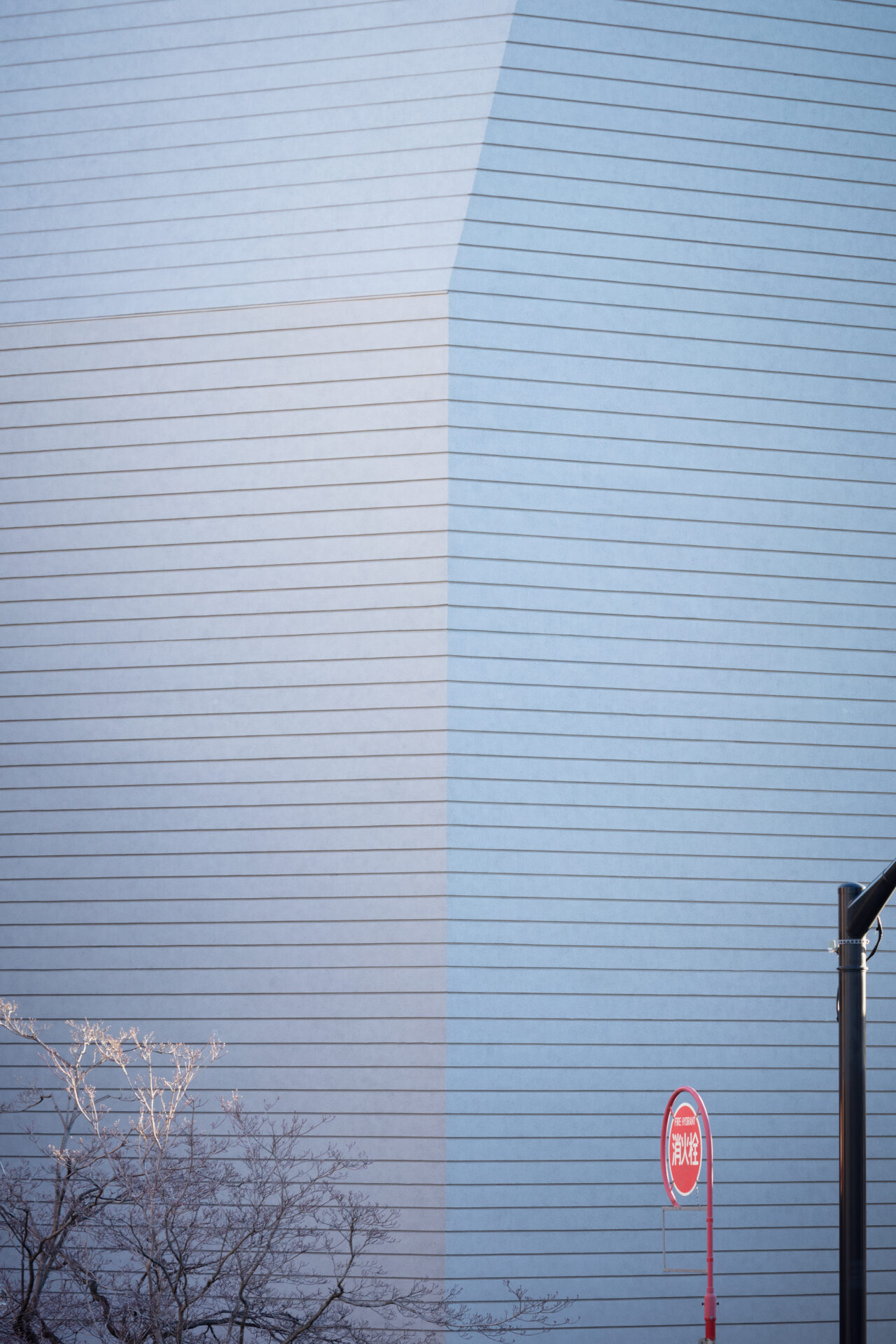 THE CONTOUR ザ・コンター