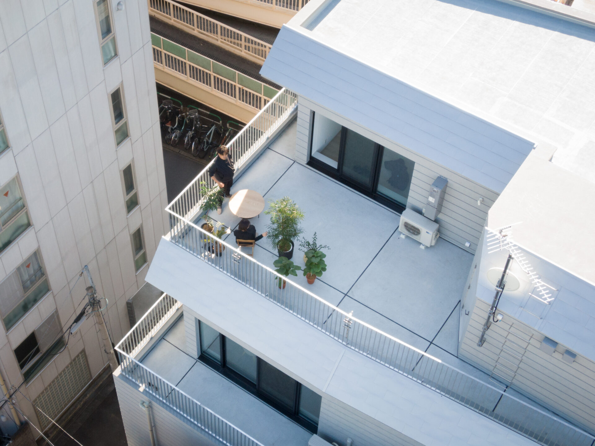 THE CONTOUR ザ・コンター