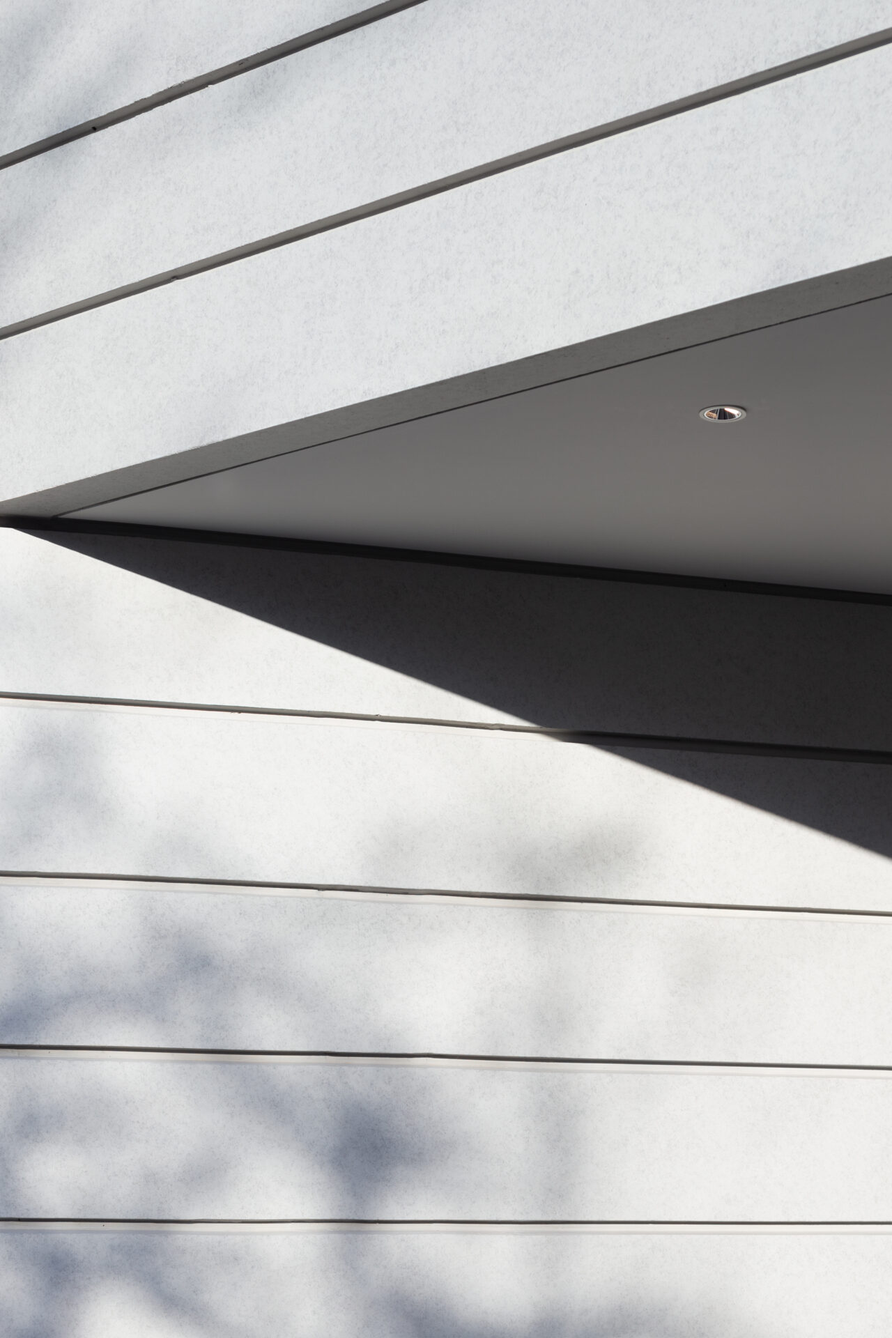 THE CONTOUR ザ・コンター