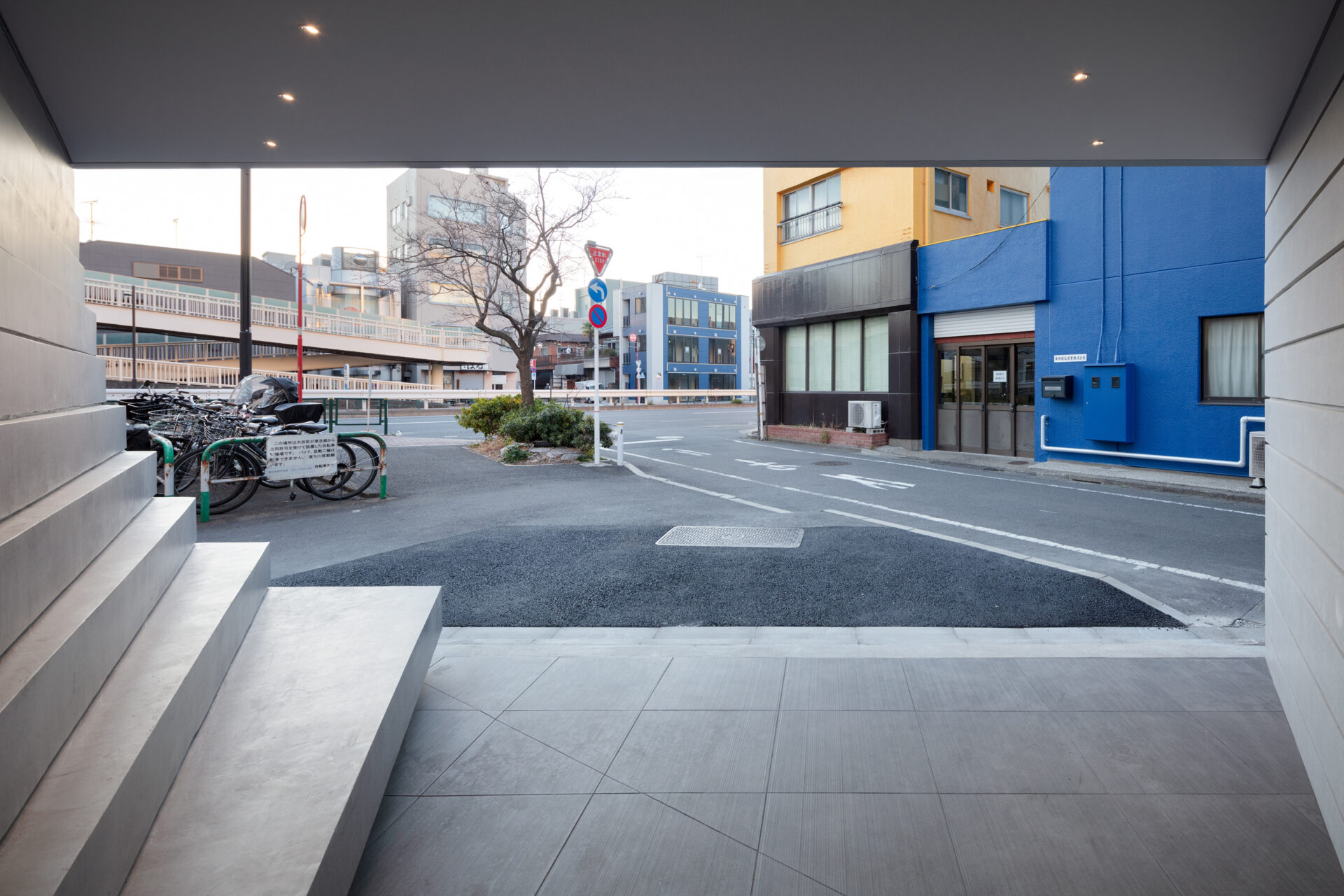 THE CONTOUR ザ・コンター