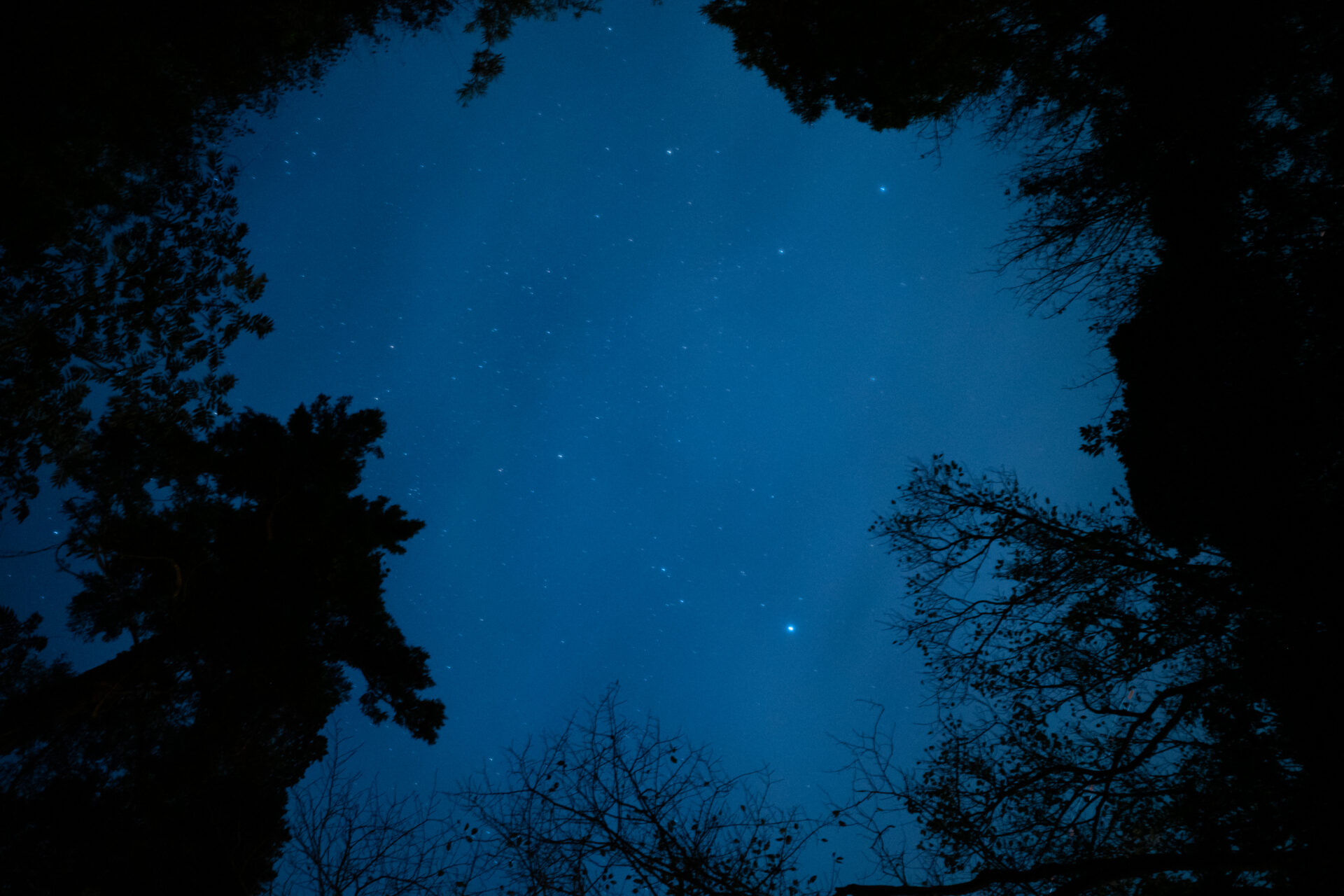 INSPIRATION TRAIL -山のアトリエ／海のヴィラ-