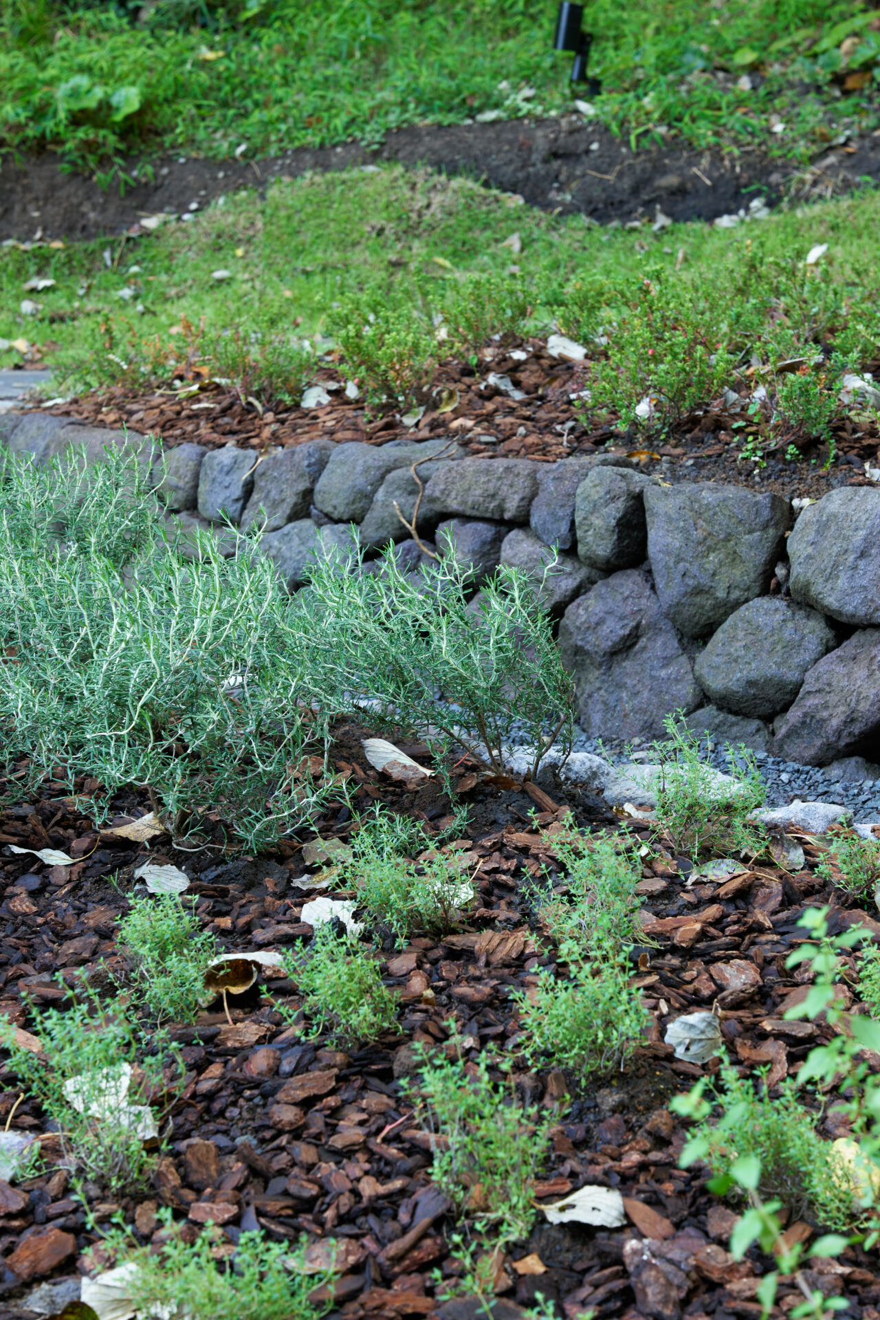 INSPIRATION TRAIL -山のアトリエ／海のヴィラ-