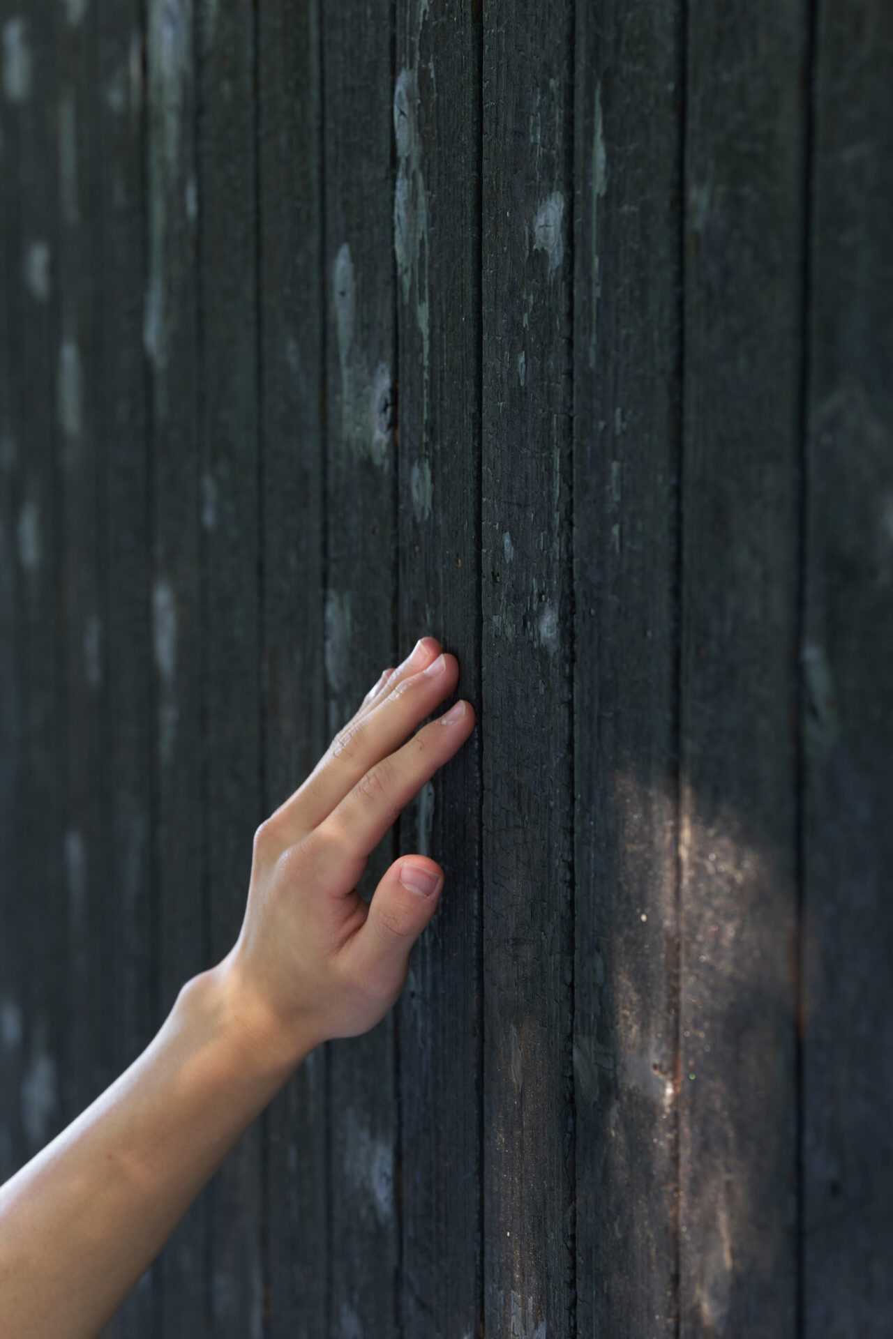 INSPIRATION TRAIL -山のアトリエ／海のヴィラ-