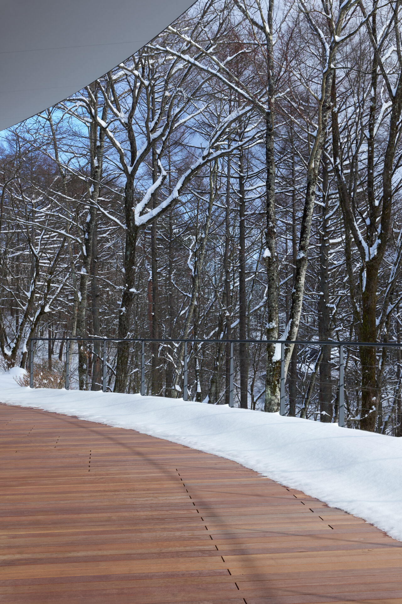 THE CONE 軽井沢の逆円錐