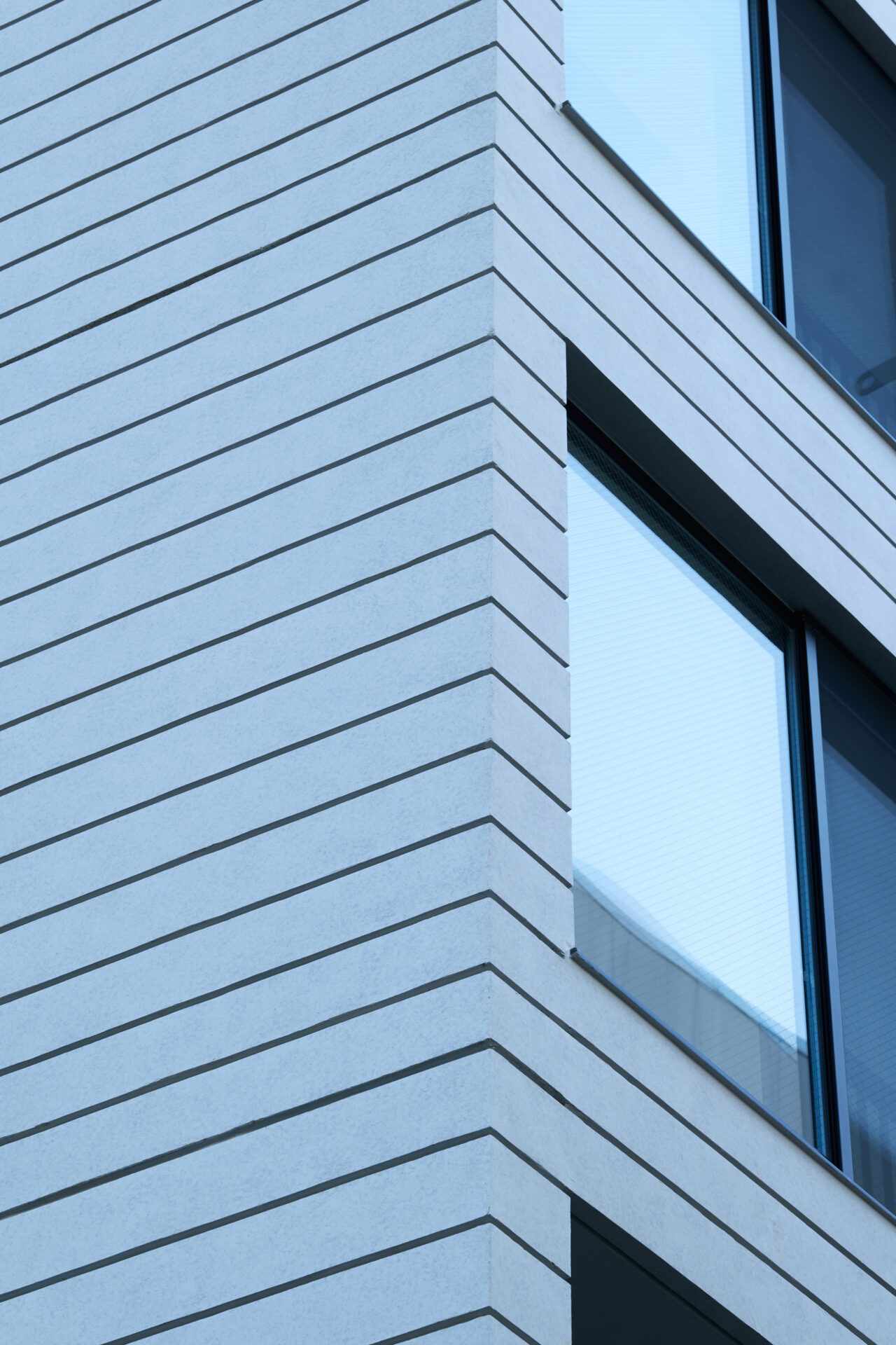 THE CONTOUR ザ・コンター