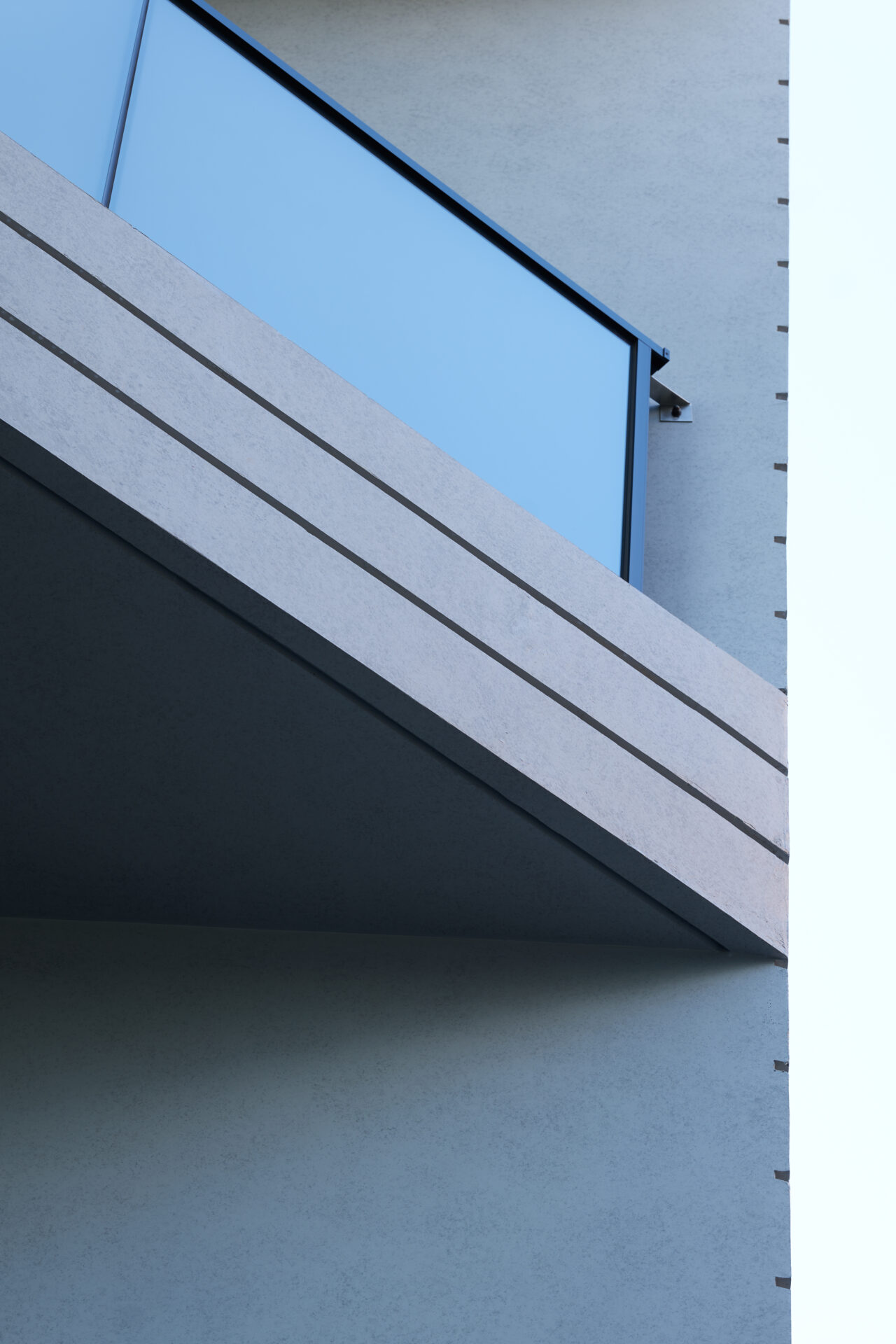 THE CONTOUR ザ・コンター