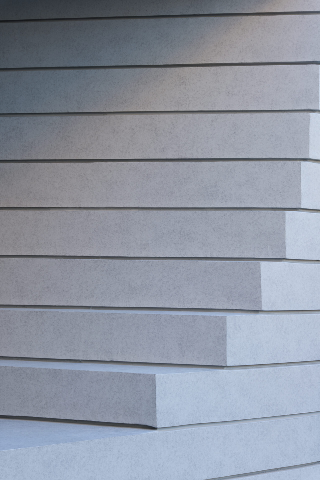 THE CONTOUR ザ・コンター