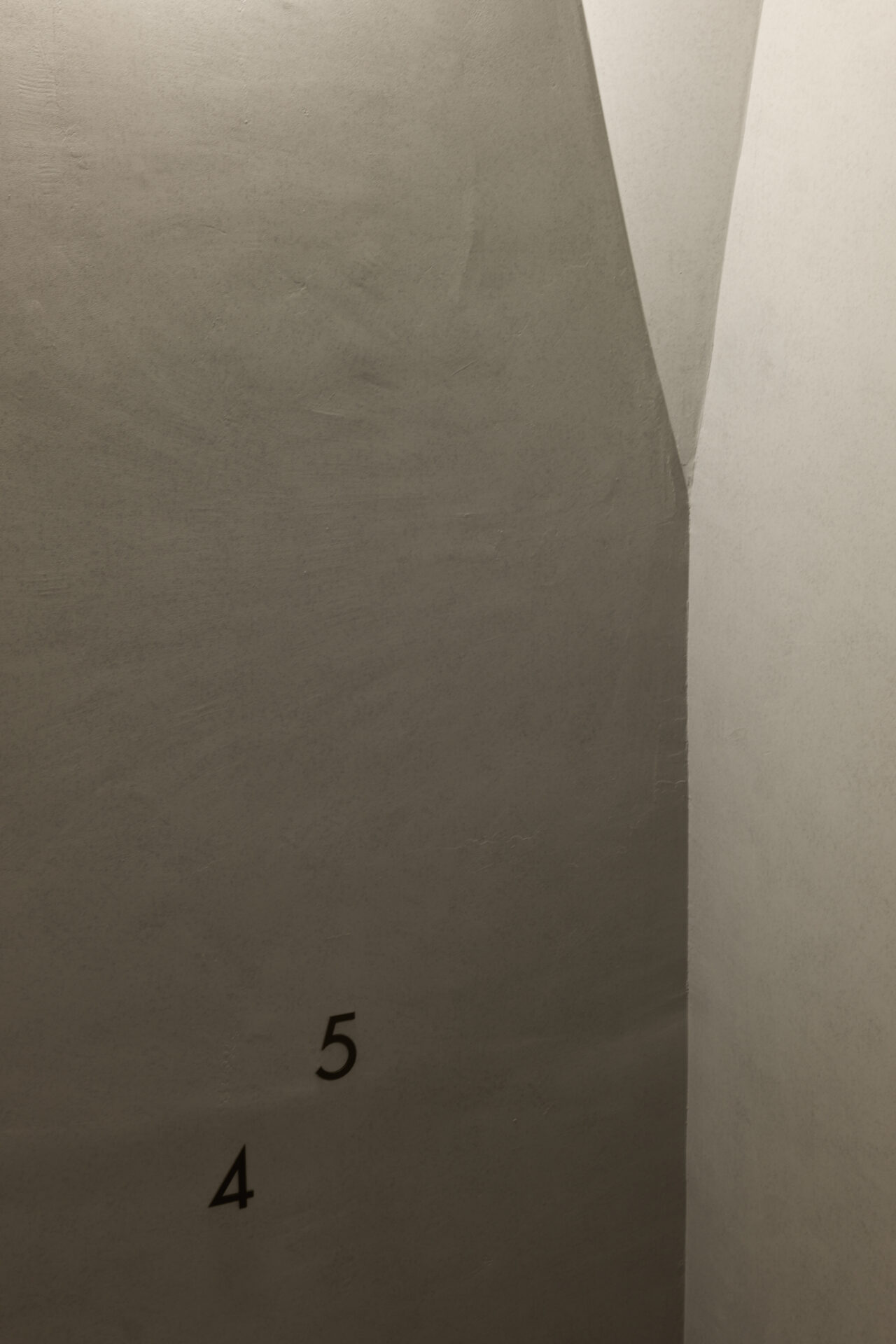 THE CONTOUR ザ・コンター