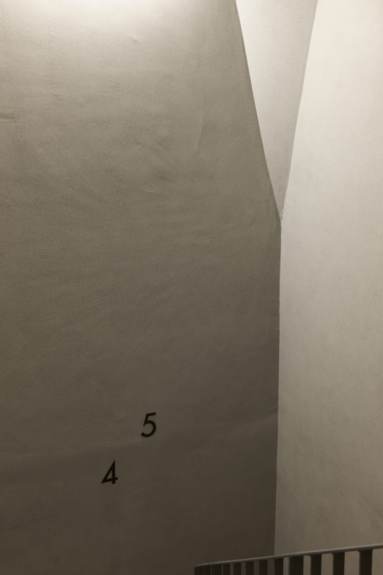 THE CONTOUR ザ・コンター