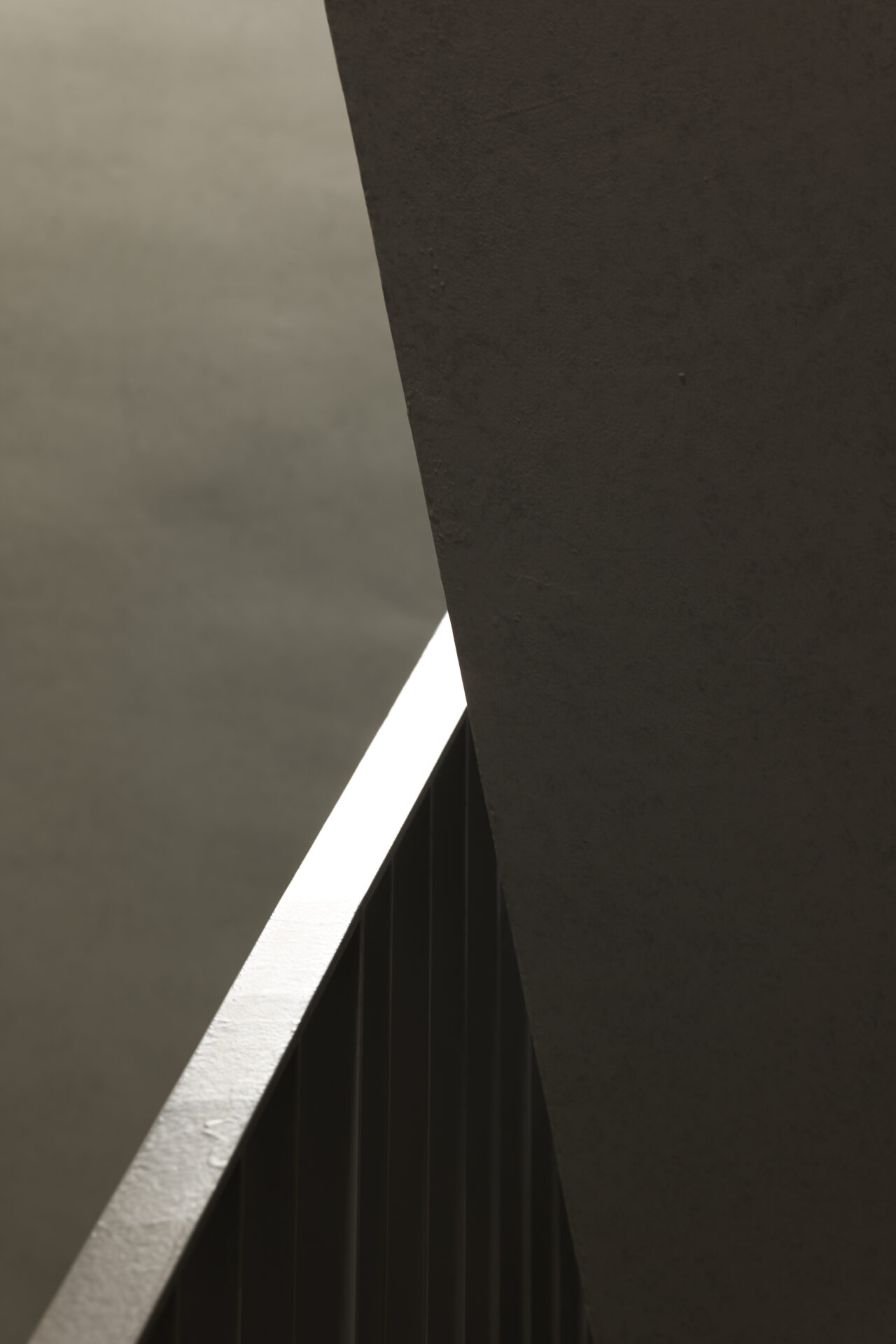 THE CONTOUR ザ・コンター