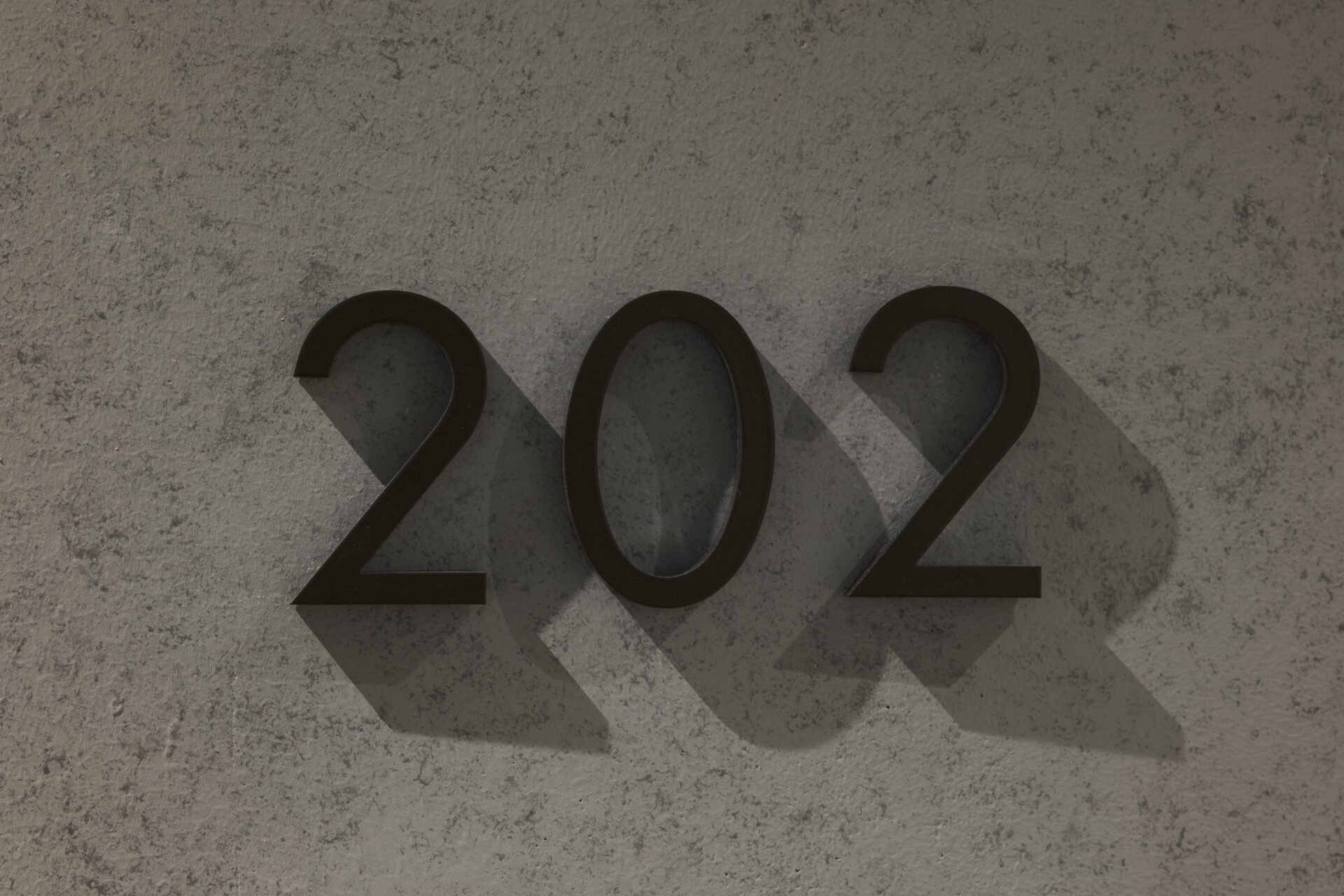 THE CONTOUR ザ・コンター