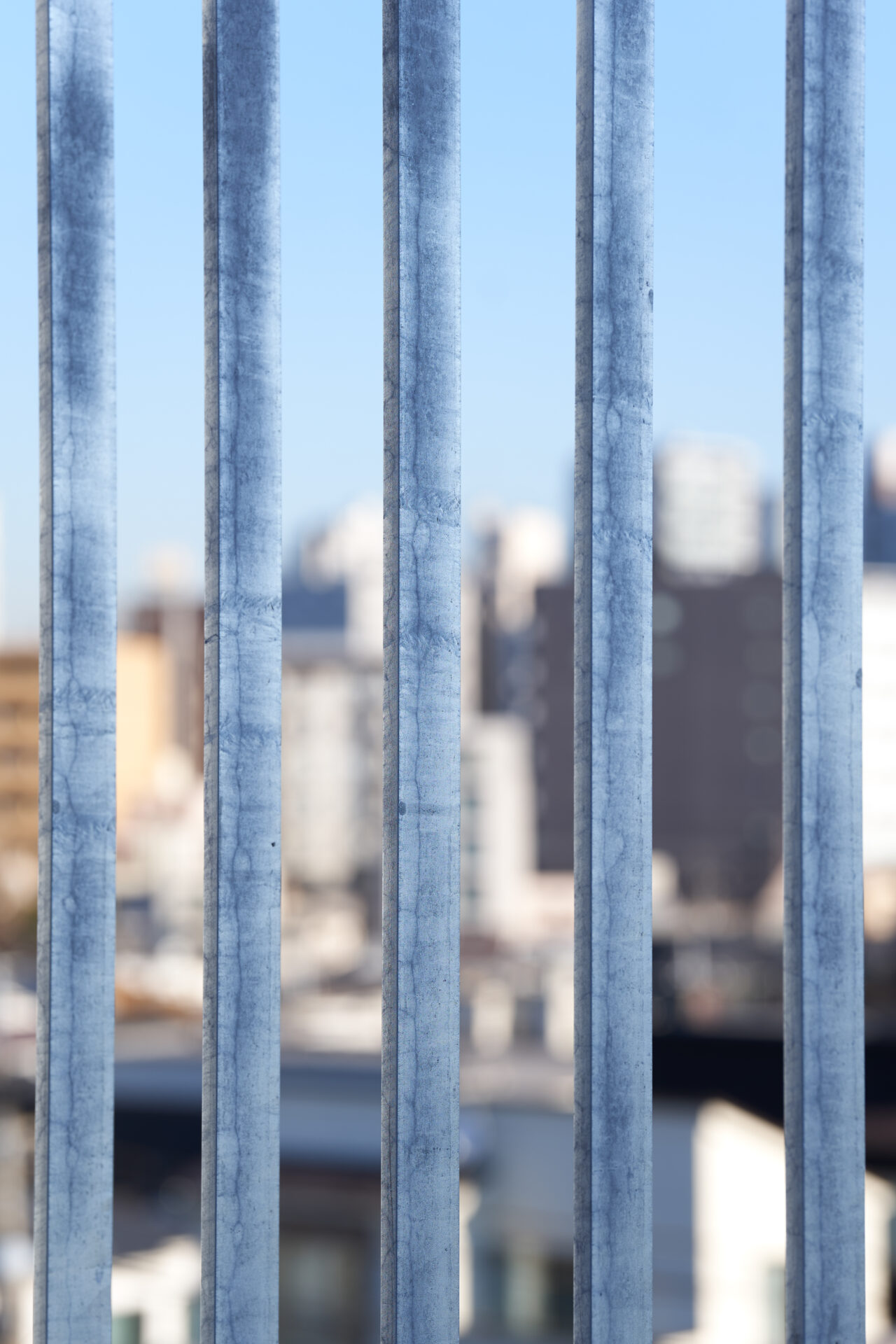 THE CONTOUR ザ・コンター